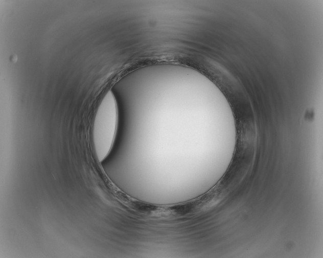 X0000089660603200706210732