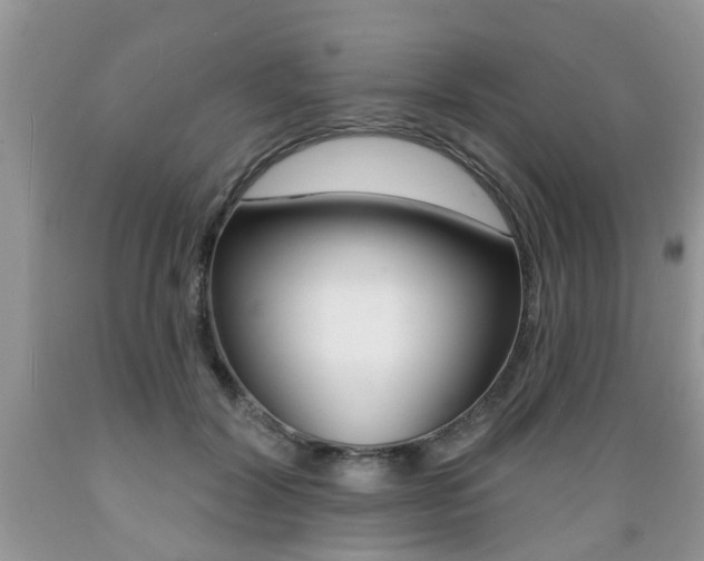 X0000089660604200706210732