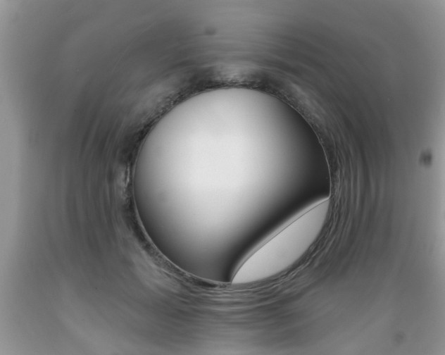 X0000089660605200706210732