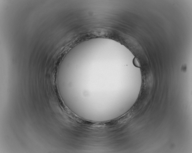 X0000089660606200706210732