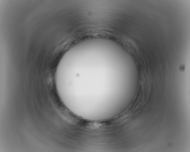 X0000089660607200706210732