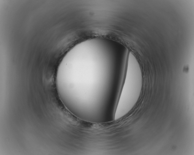 X0000089660608200706210732