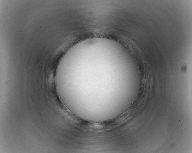 X0000089660610200706210732