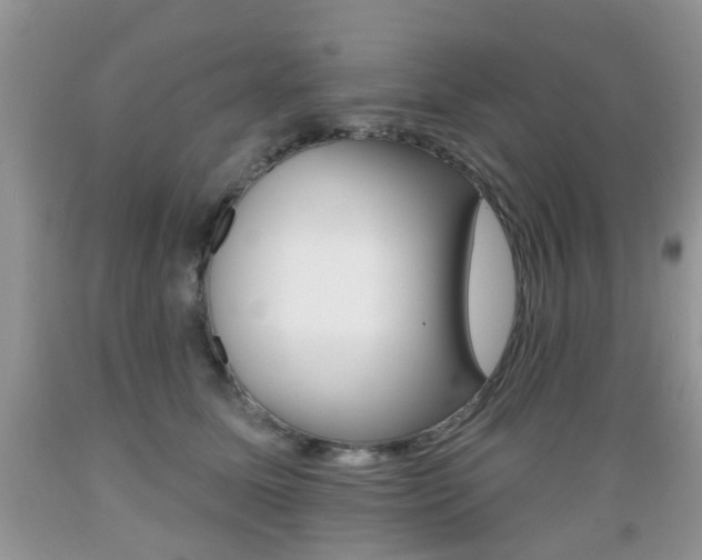 X0000089660611200706210732