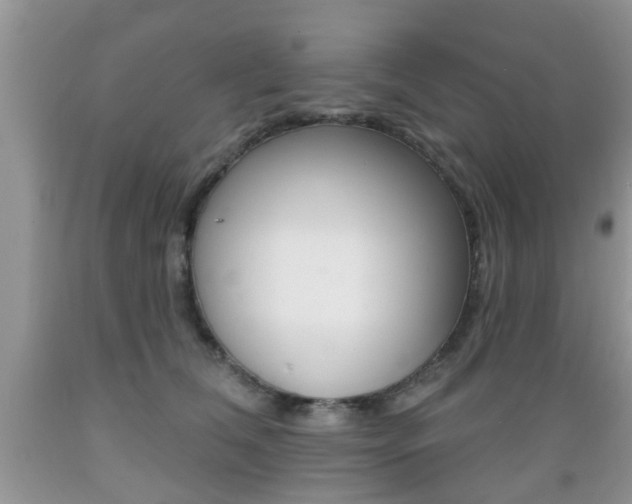 X0000089660612200706210732