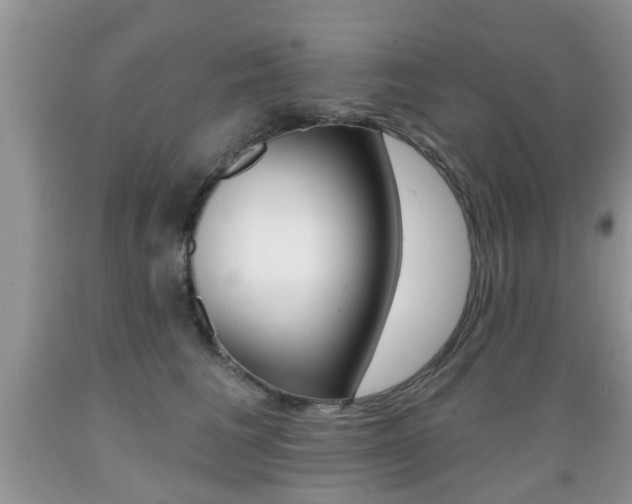 X0000089660613200706210732
