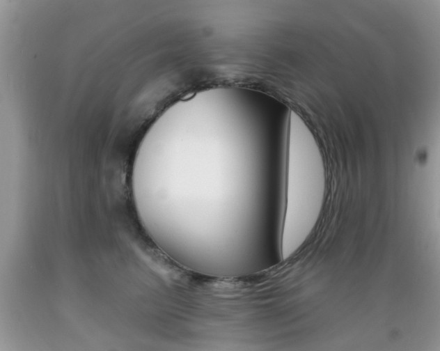 X0000089660615200706210732