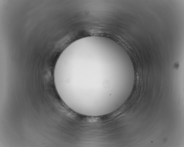 X0000089660618200706210732