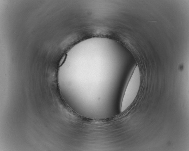 X0000089660619200706210732