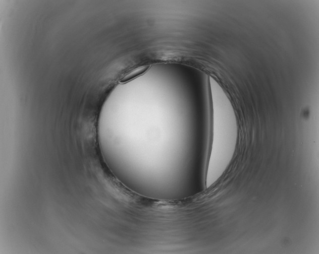 X0000089660620200706210732