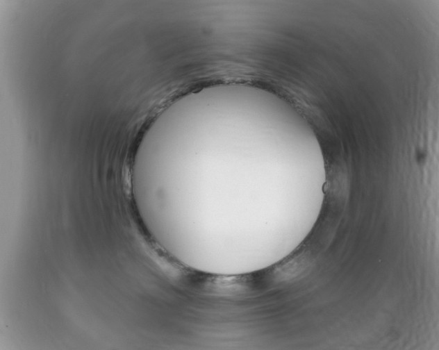 X0000089660622200706210732