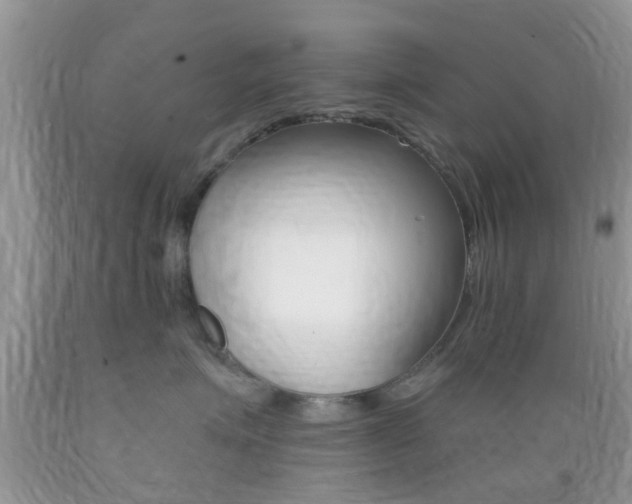 X0000089660623200706210732