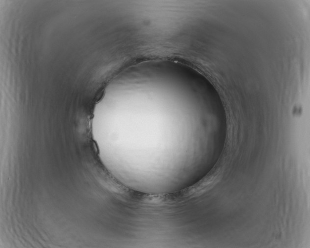 X0000089660624200706210732