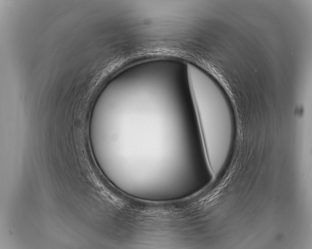 X0000089660625200706210731