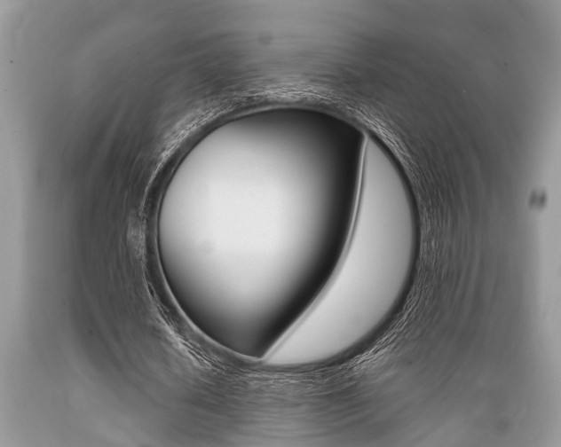 X0000089660626200706210731