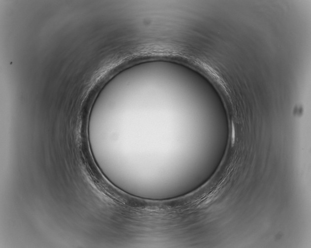 X0000089660627200706210731