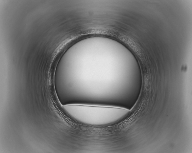 X0000089660628200706210731