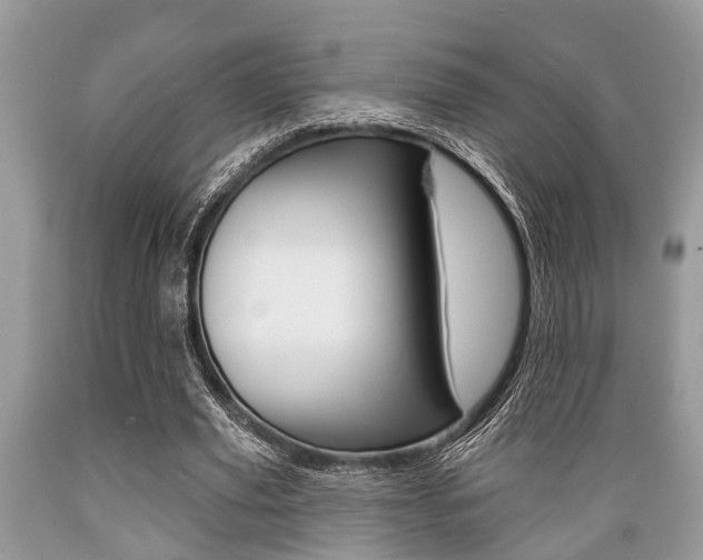 X0000089660629200706210731