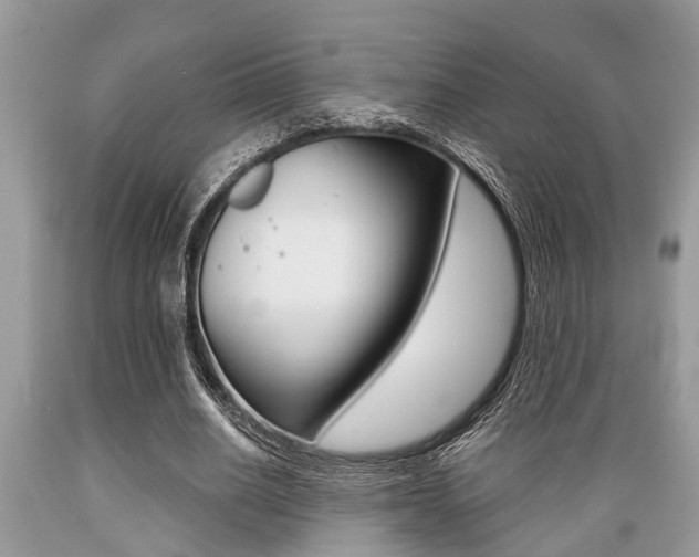 X0000089660630200706210731