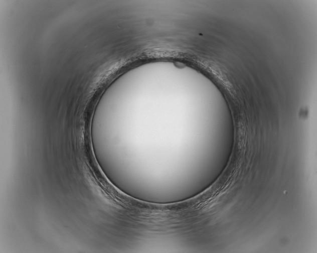 X0000089660631200706210731