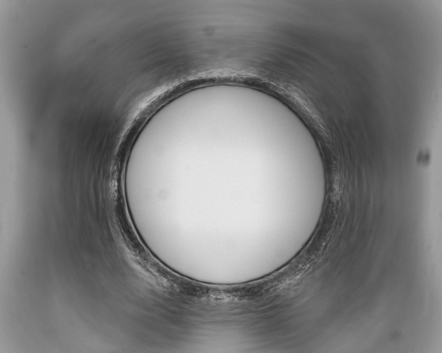 X0000089660632200706210731