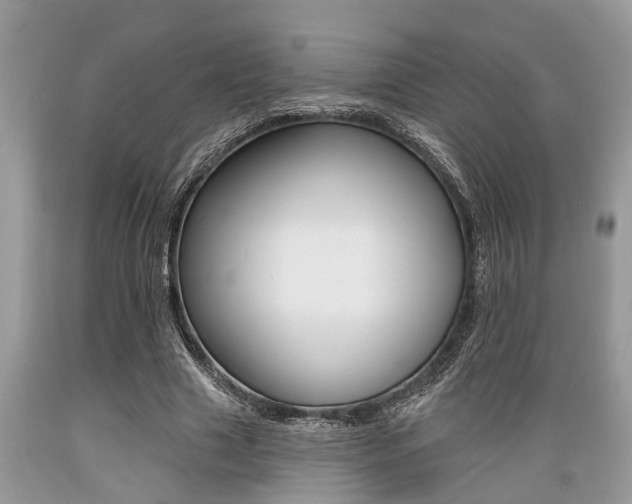 X0000089660633200706210731