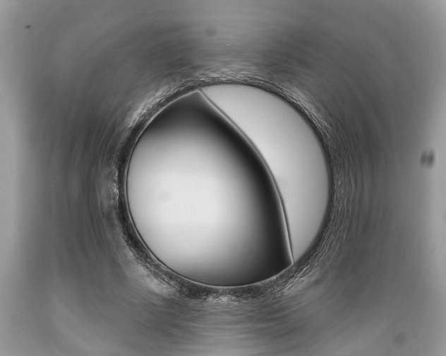 X0000089660634200706210731