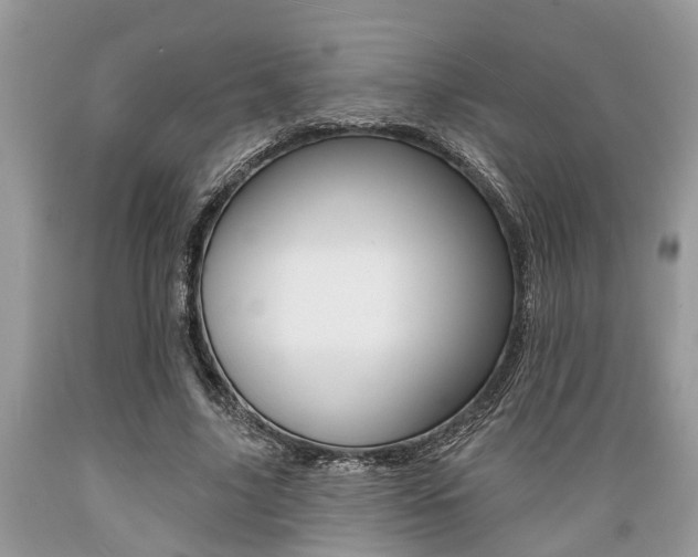 X0000089660635200706210731
