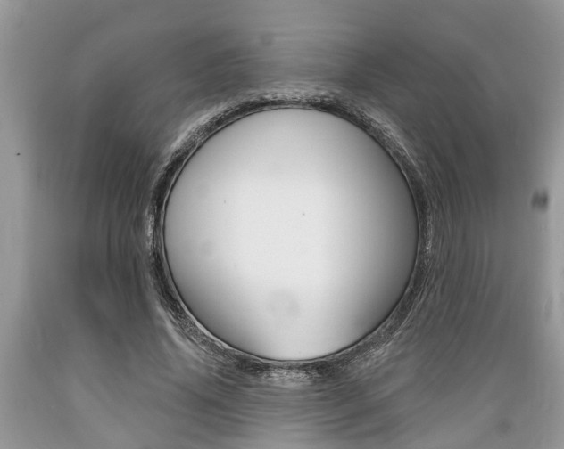 X0000089660636200706210731