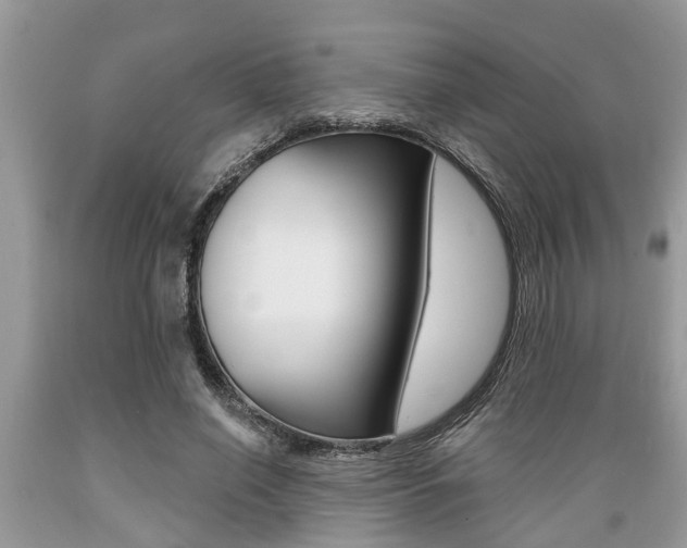 X0000089660638200706210731
