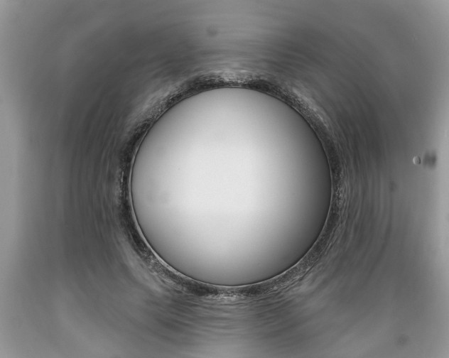 X0000089660639200706210731
