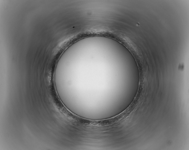 X0000089660640200706210731