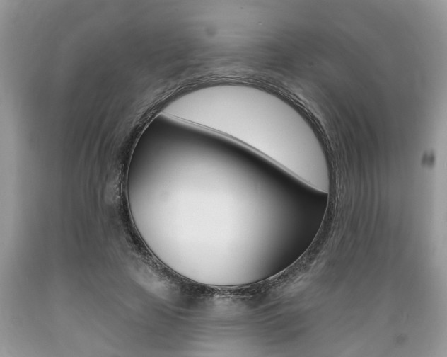 X0000089660641200706210731