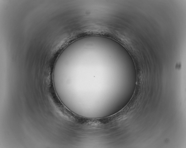 X0000089660642200706210731