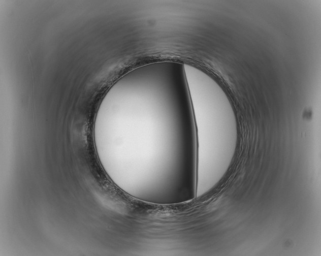 X0000089660643200706210731