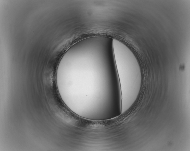 X0000089660644200706210731