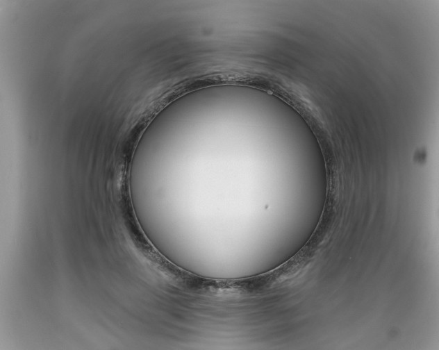 X0000089660645200706210731