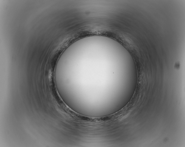 X0000089660646200706210731