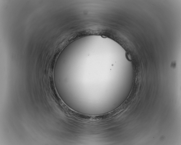 X0000089660647200706210731