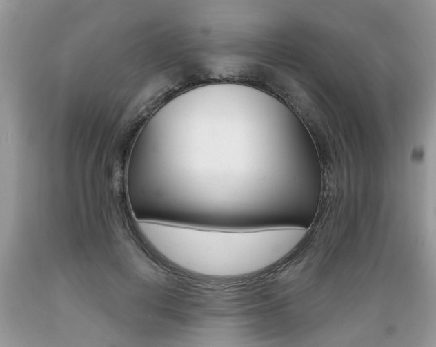 X0000089660648200706210731