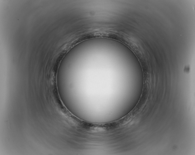 X0000089660649200706210731