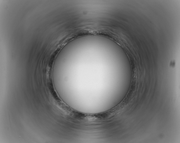X0000089660650200706210731