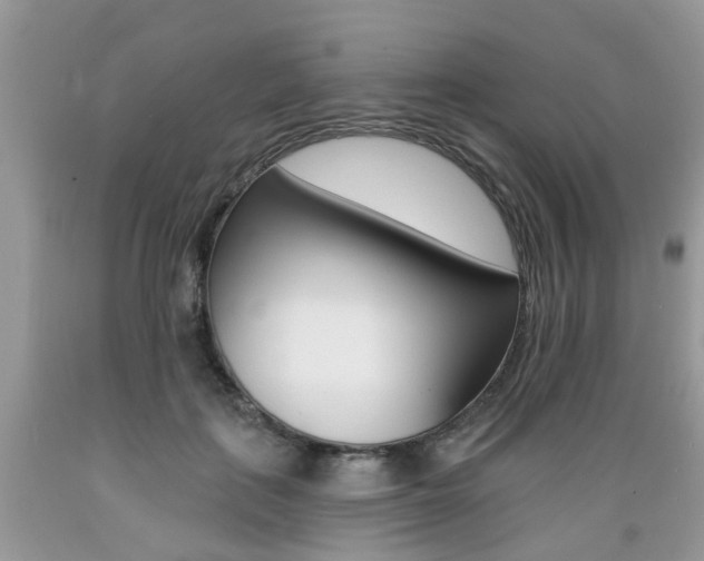 X0000089660651200706210731