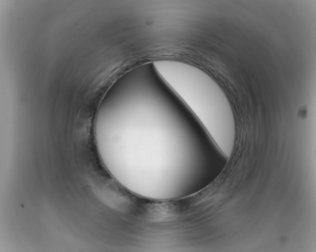 X0000089660652200706210731