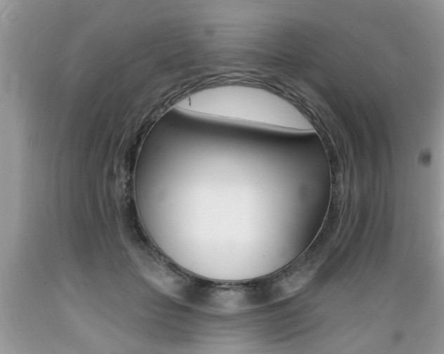 X0000089660653200706210731