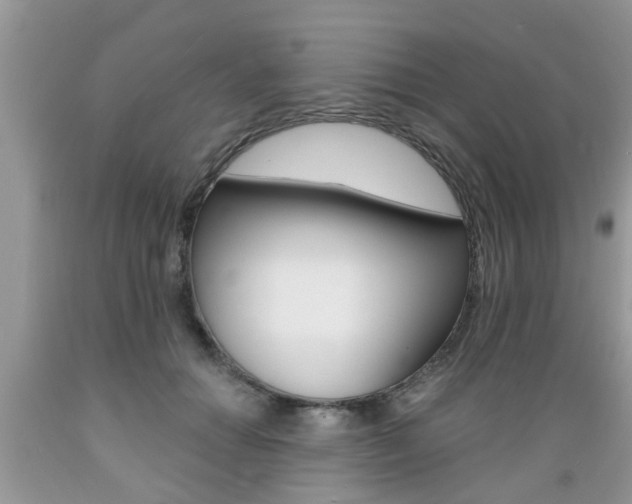 X0000089660654200706210731