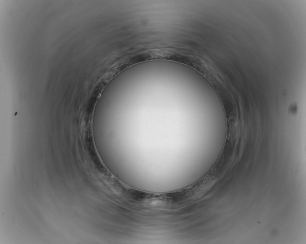 X0000089660655200706210731