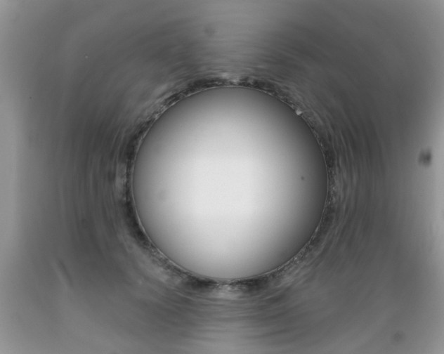 X0000089660656200706210731