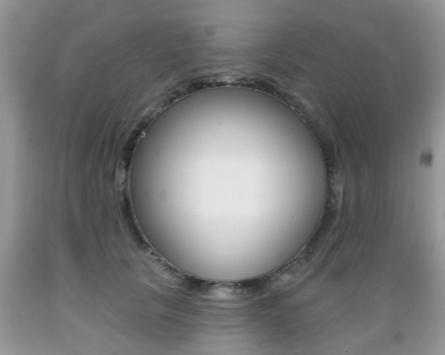 X0000089660657200706210731