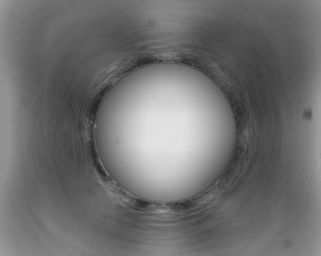 X0000089660658200706210731